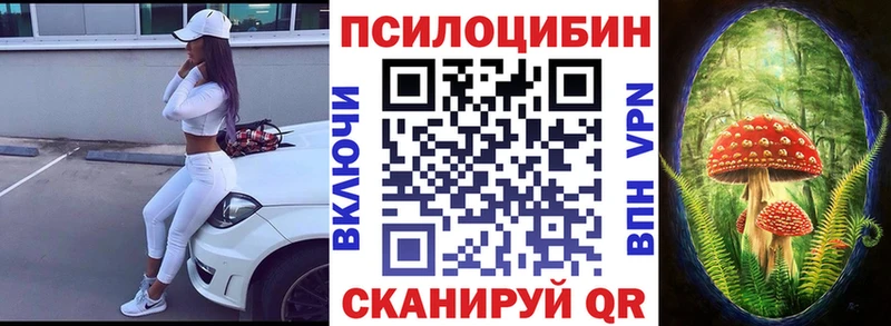 мега рабочий сайт Вилюйск Псилоцибиновые грибы Psilocybe